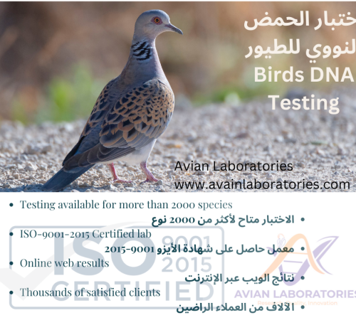 Birds DNA Testing (1)